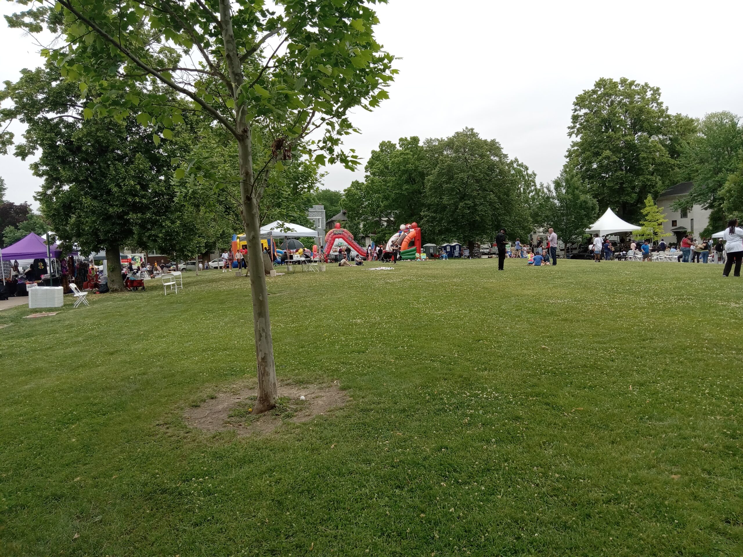Oak Park Juneteenth Celebration 2