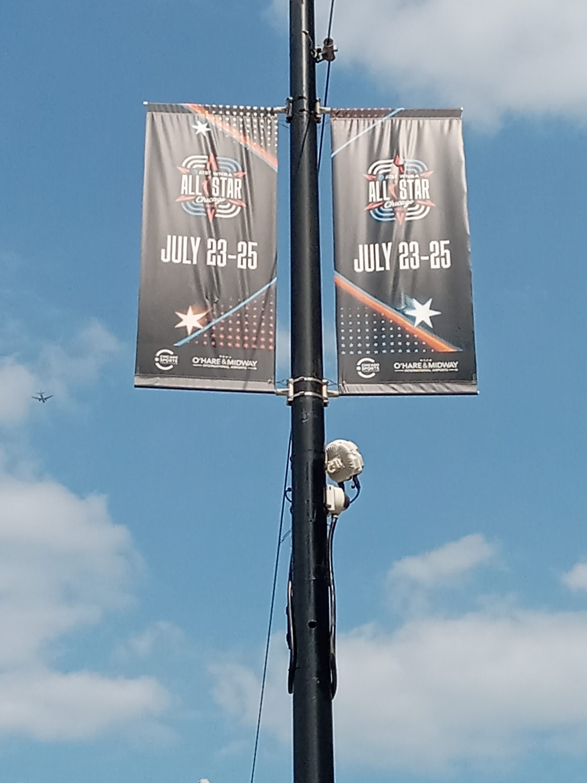 WNBA all-star 8